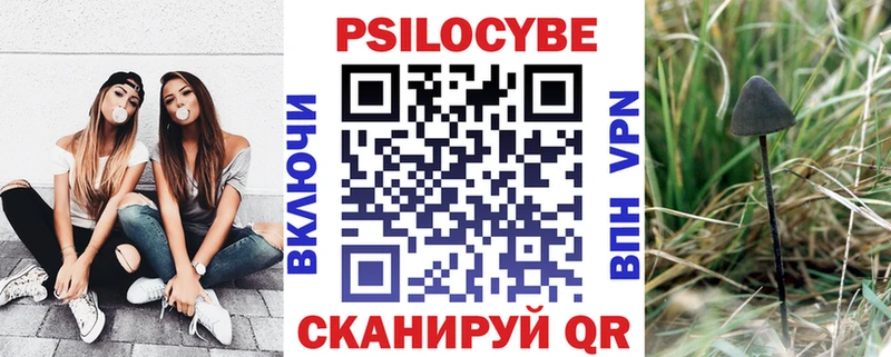 цены даркнет Telegram Псилоцибиновые грибы ЛСД Ковдор omg ONION
